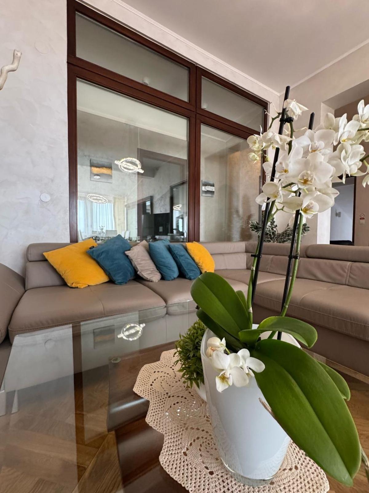 Villa Adriatic, Apartment Enio With Swimming Pool, Panoramic Sew View, Free Parking Ičići Exteriör bild